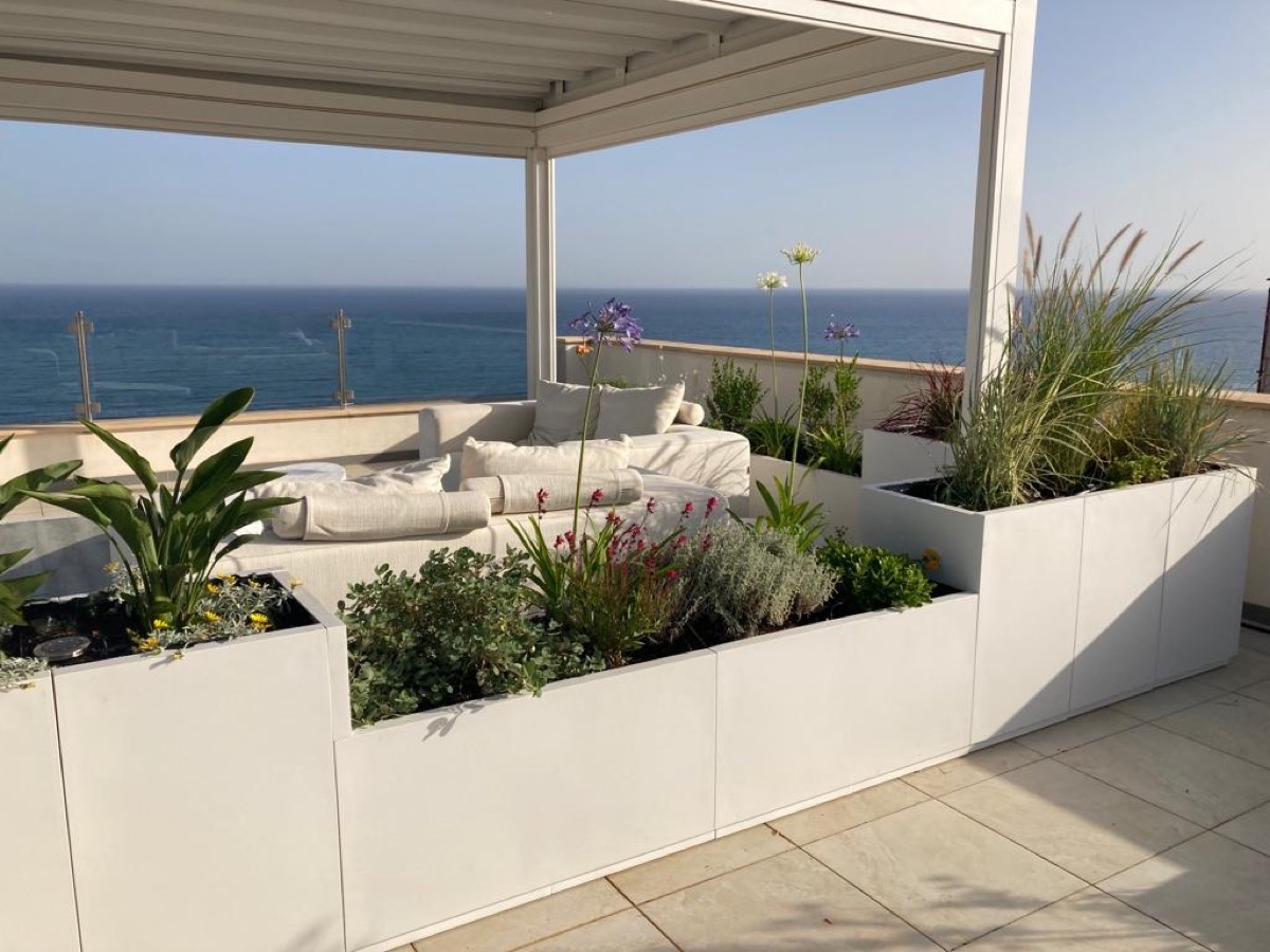 Domino virágláda tápanyagban gazdag talajjal