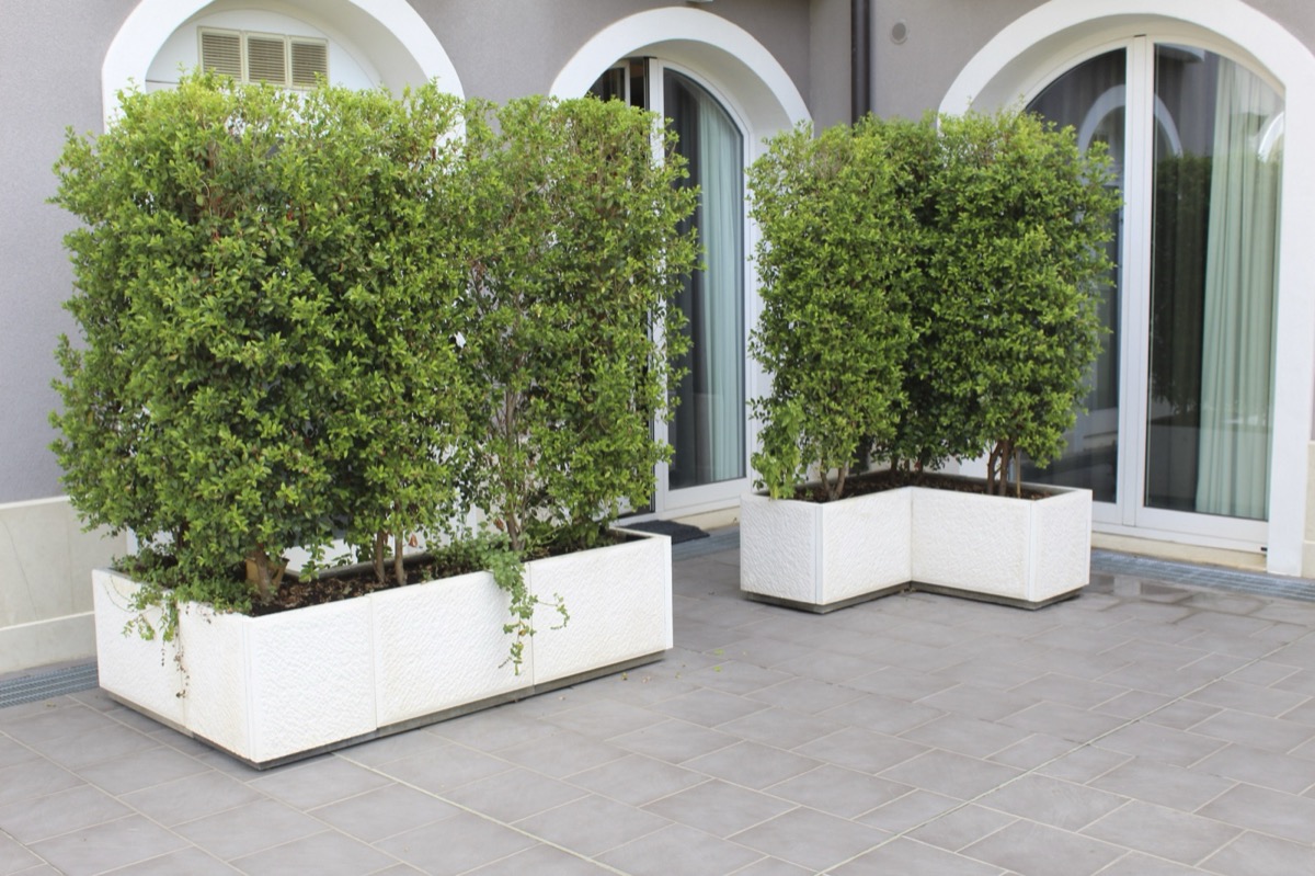 Rekonstruált kő virágláda Botticino fehér